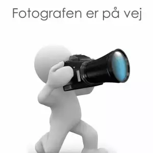 Gul brillesnor